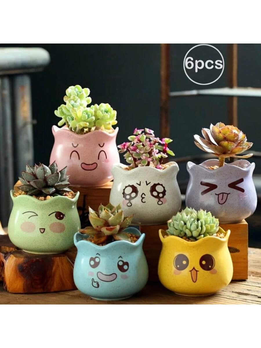 Echeveria Succulent - 6pcs/set Cartoon Cute Ceramic Flower Pots,
