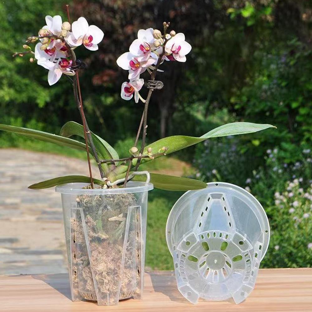 Aloe Vera Pot - Plastic Root Control Transparent Flower Pot
