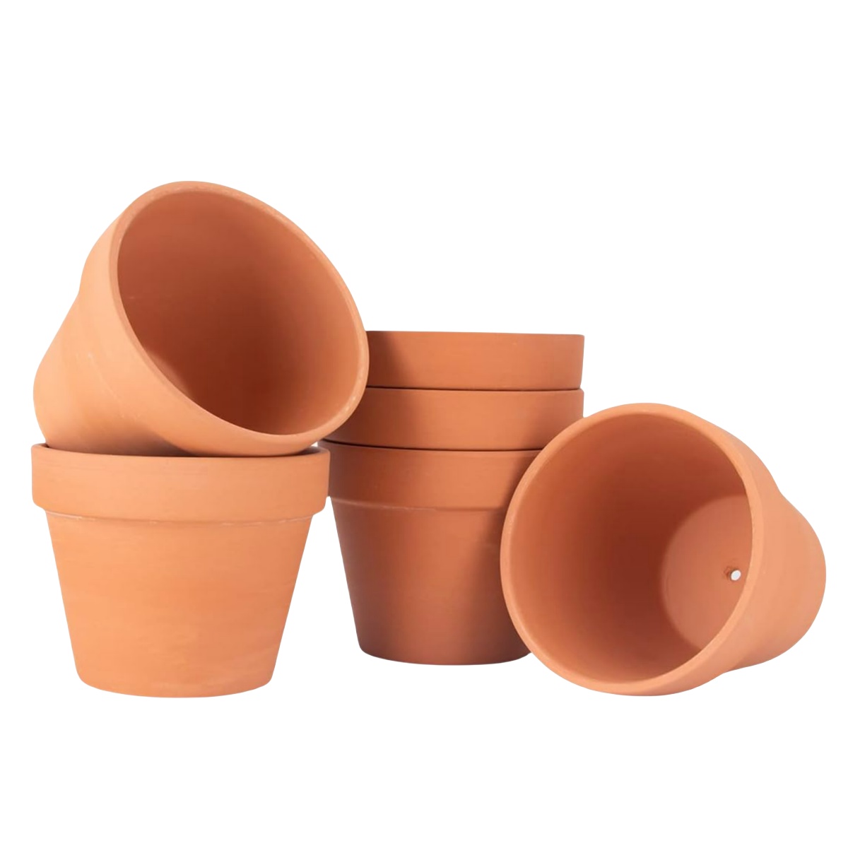 6pcs 4 inch Terracotta Pots Fl - Echeveria Succulent ulasan dan harga
