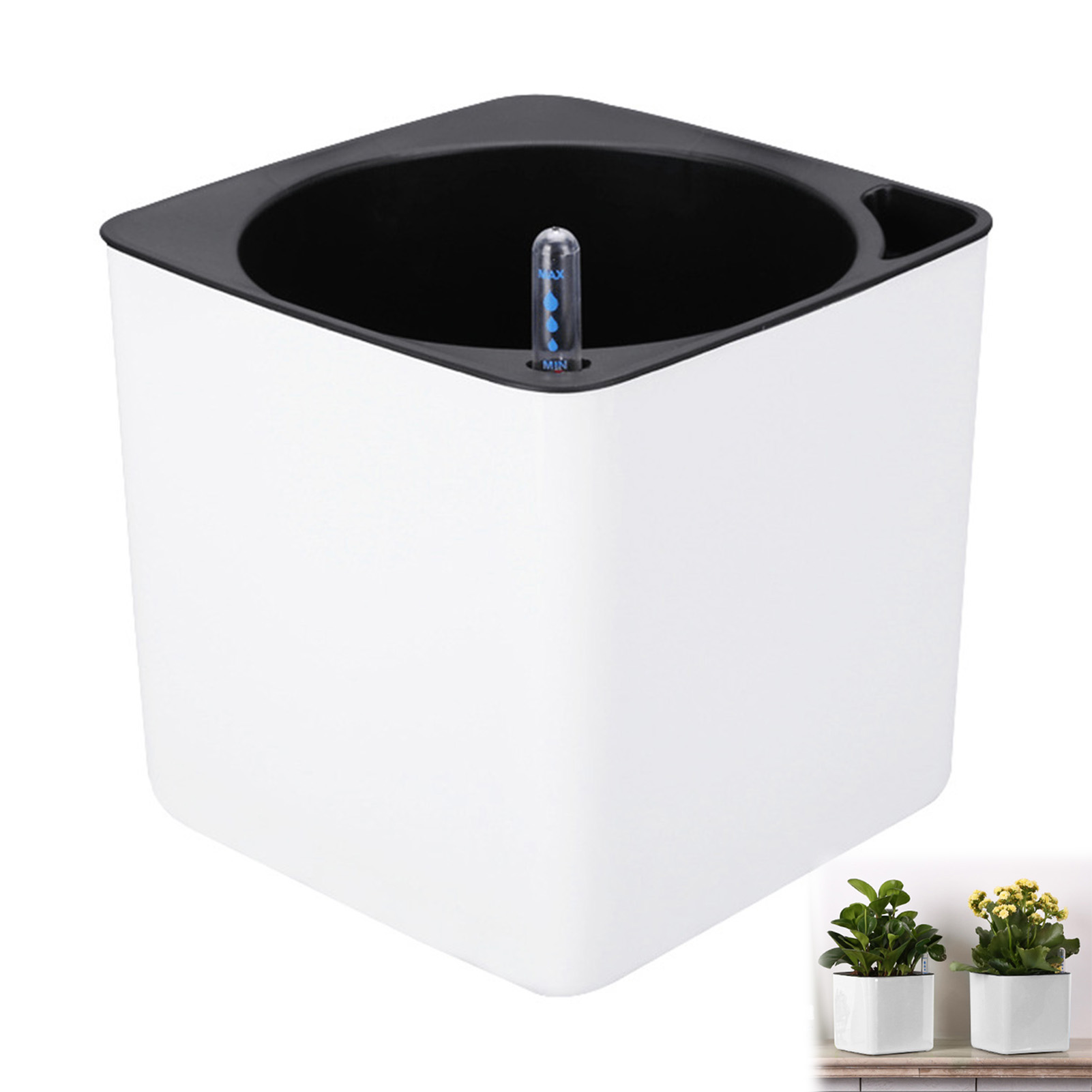 Automatic Self Watering Flower - Aloe Vera Pot ulasan dan harga