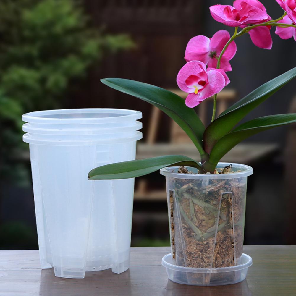 Plastic Root Control Transpare - Aloe Vera Pot ulasan dan harga