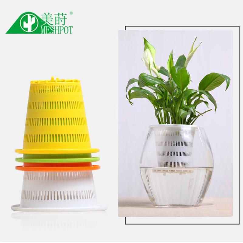 Meshpot 3PCS Colorful Plastic  - Aloe Vera Pot ulasan dan harga