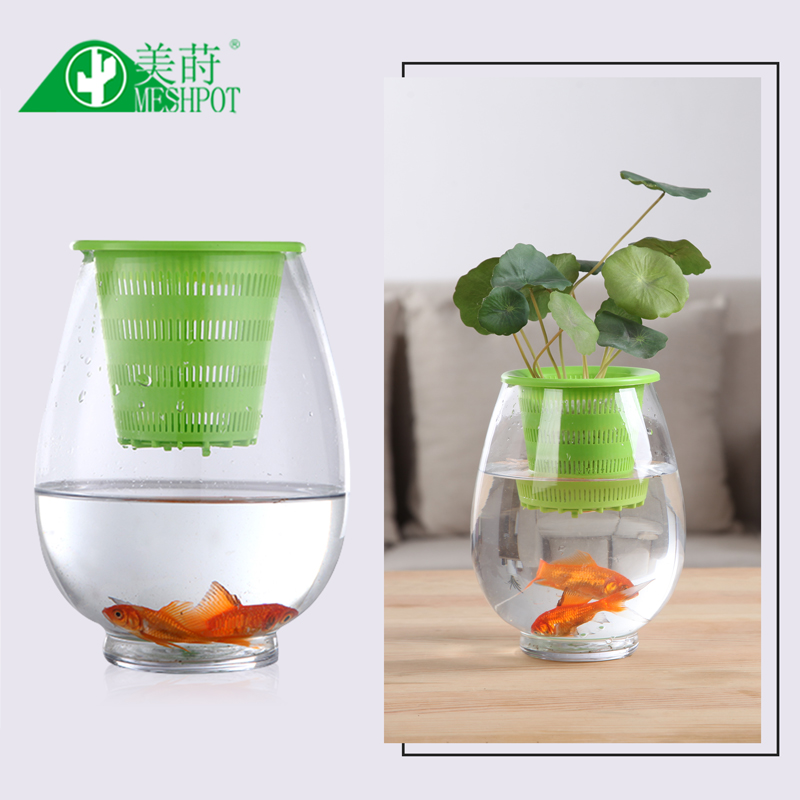 Meshpot 3PCS Colorful Plastic  - Aloe Vera Pot ulasan dan harga