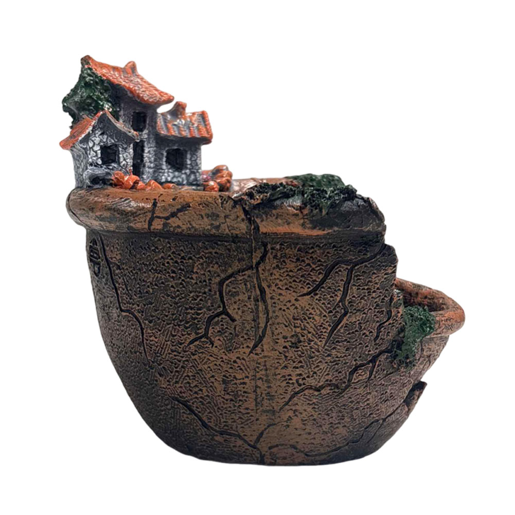 Succulent Pot Vintage Multi Po - Echeveria Succulent ulasan dan harga