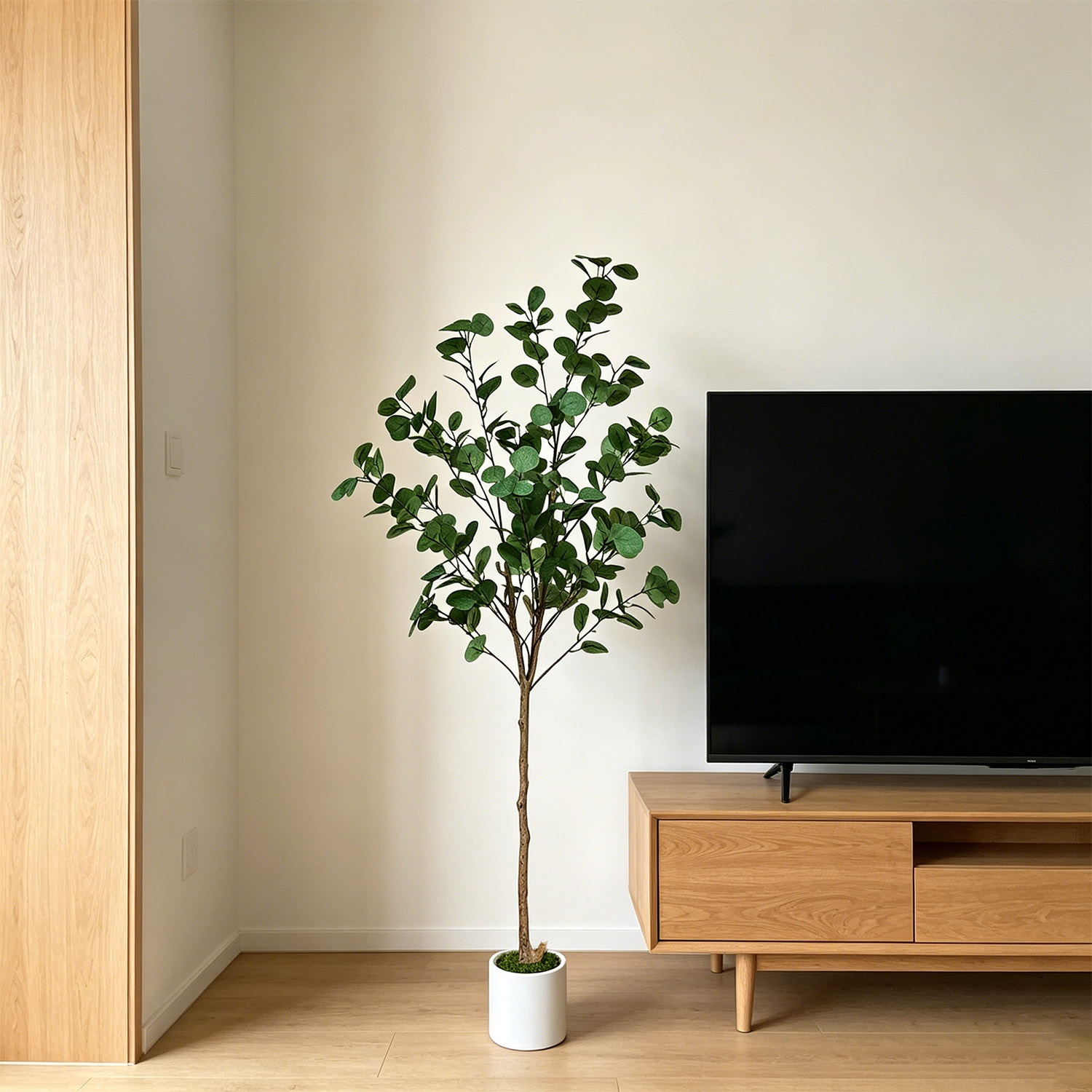 120-155Cm/5.1Ft Artificial Euc - Dracaena Marginata ulasan dan harga
